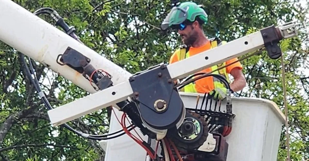 Tree Service Near Me